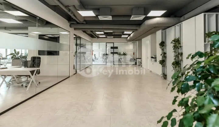 Офис, Центр, ПЕТРУ МОВИЛЭ