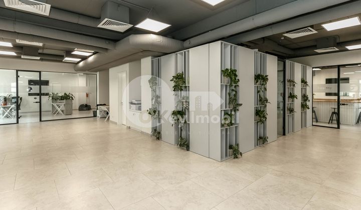 Oficiu, Centru, PETRU MOVILĂ