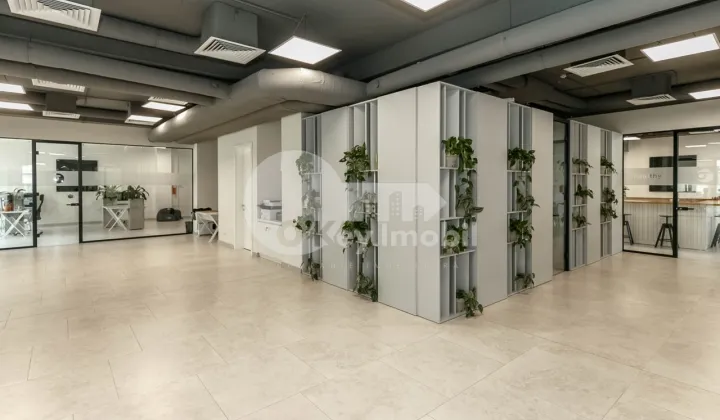 Офис, Центр, ПЕТРУ МОВИЛЭ