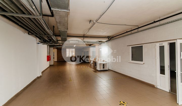 Depozit, Râșcani, ALBIȘOARA