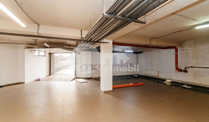 Depozit, Râșcani, ALBIȘOARA