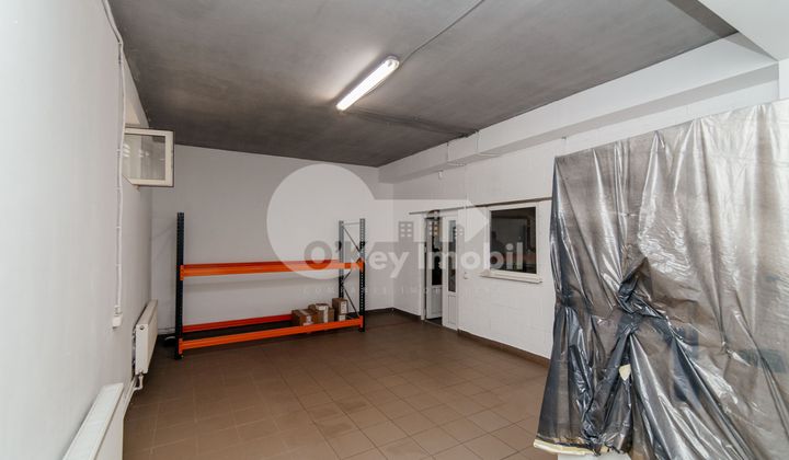 Depozit, Râșcani, ALBIȘOARA