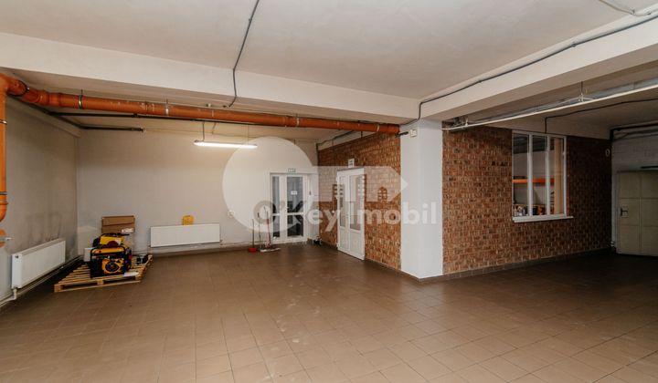 Depozit, Râșcani, ALBIȘOARA