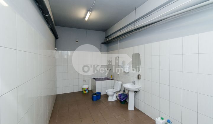 Depozit, Râșcani, ALBIȘOARA