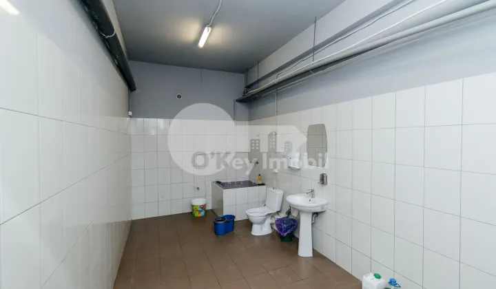 Склад, Рышкановка, АЛБИШОАРА