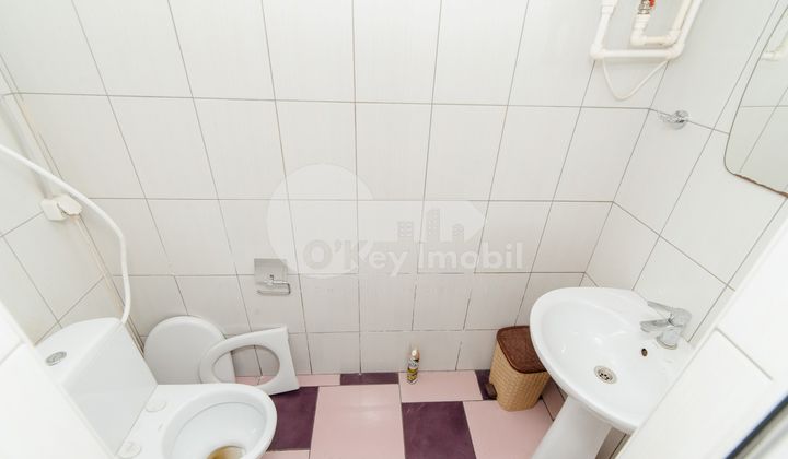 Depozit, Râșcani, ALBIȘOARA