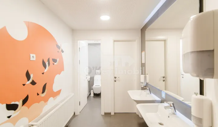 Комм. помещение, Буюканы, АЛБА ЮЛИЯ