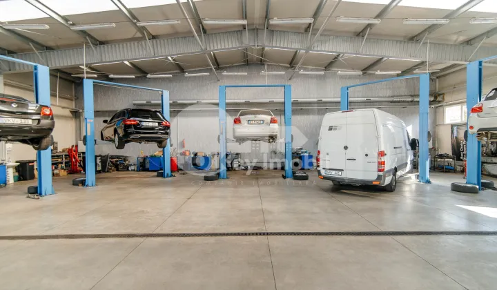 Активный бизнес, БОТАНИКА