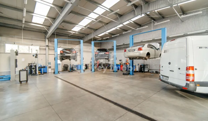 Активный бизнес, БОТАНИКА