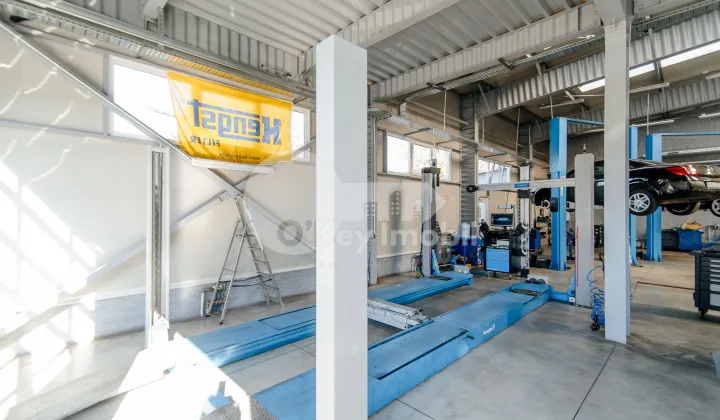 Активный бизнес, БОТАНИКА