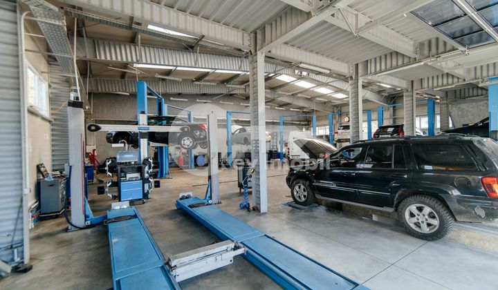 Afacere activă, BOTANICA