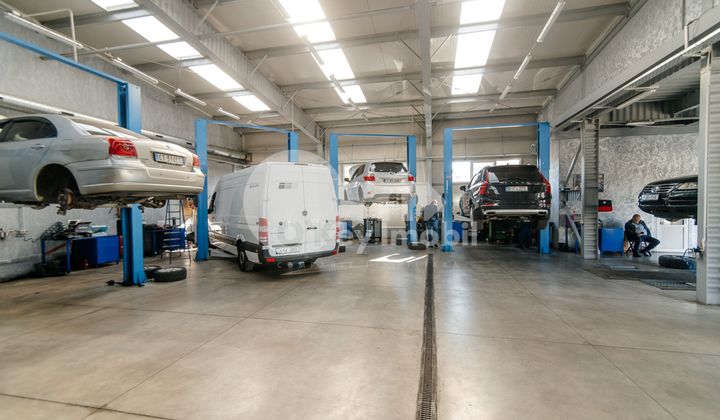 Afacere activă, BOTANICA