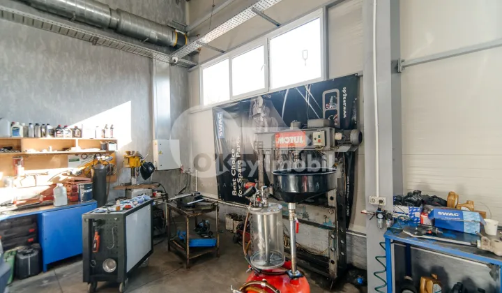 Активный бизнес, БОТАНИКА