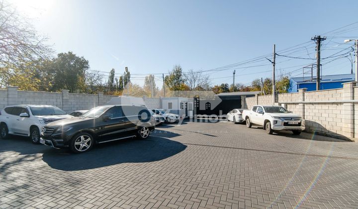 Afacere activă, BOTANICA