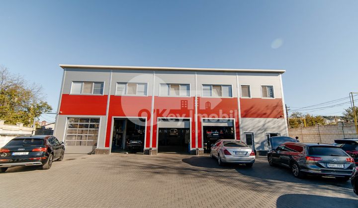 Afacere activă, BOTANICA