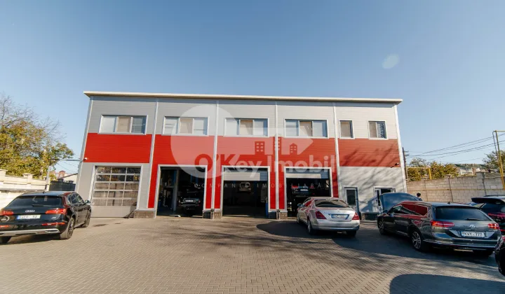 Активный бизнес, БОТАНИКА