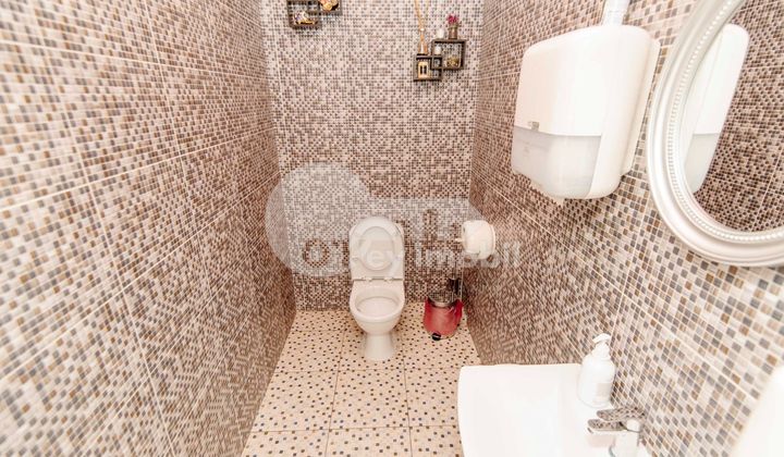 Afacere activă, BOTANICA