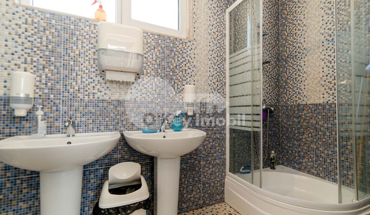 Afacere activă, BOTANICA