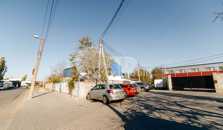 Afacere activă, BOTANICA