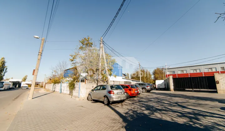 Активный бизнес, БОТАНИКА