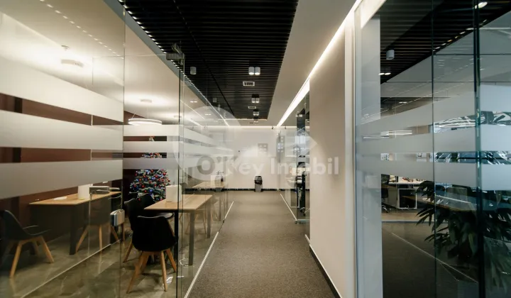 Oficiu, Centru, MIHAI VITEAZUL