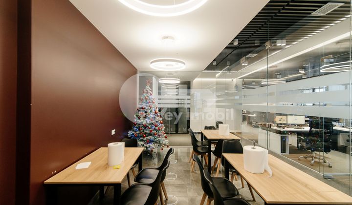 Oficiu, Centru, MIHAI VITEAZUL