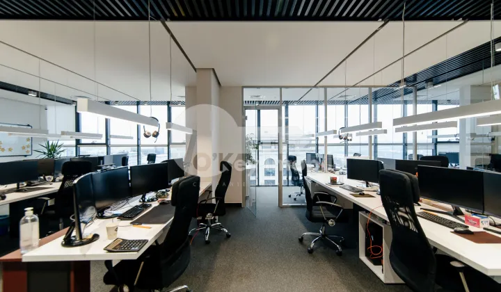 Oficiu, Centru, MIHAI VITEAZUL