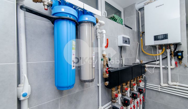 Дом, Ботаника, ПЭШУНИЛОР