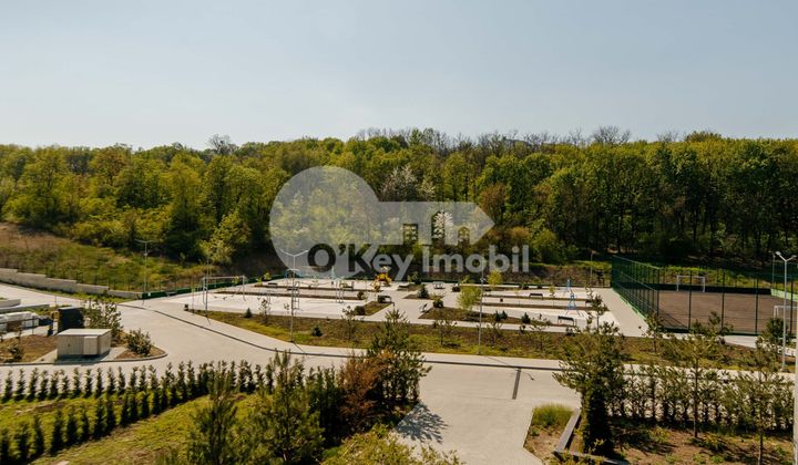 Дом, Ботаника, ПЭШУНИЛОР