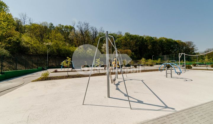 Дом, Ботаника, ПЭШУНИЛОР