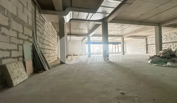 Комм. помещение, Центр, МИХАЙ ЕМИНЕСКУ